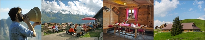 Bergrestaurant und Alkserei Musenalp Niederrickenbach