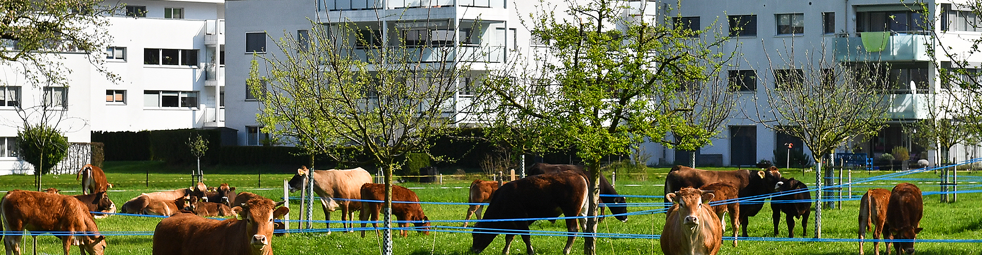 Gemeinde Oberdorf