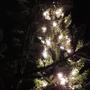 Adventsfeier 2013