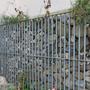 Biodiversitt