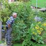 Biodiversitt