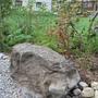 Biodiversitt